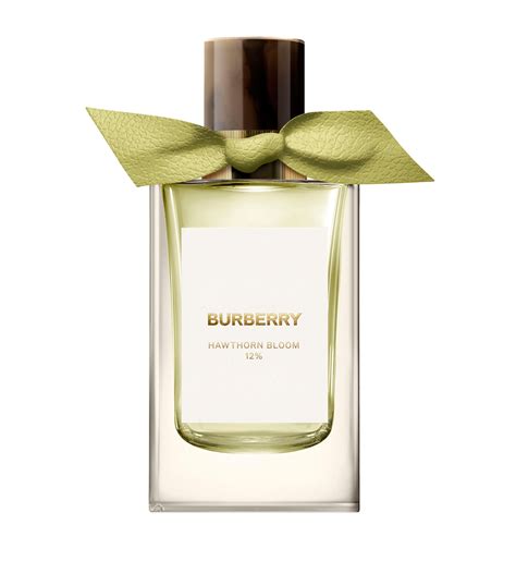 burberry bloom